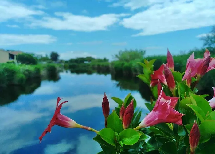 Les Bulles De Mona - Marina Corse - 2 Ch - Clim - Terrasse-pieds Dans Leau-plage * Ghisonaccia