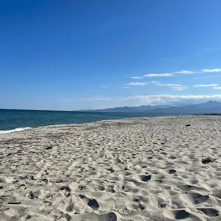 Les Bulles De Mona Marina Corsa