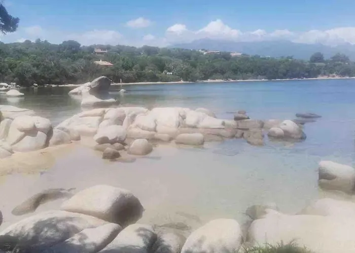Les Bulles De Mona - Marina Corse - 2 Ch - Clim - Terrasse-pieds Dans Leau-plage