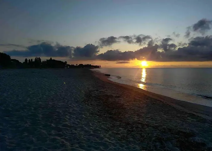 Les Bulles De Mona - Marina Corse - 2 Ch - Clim - Terrasse-pieds Dans Leau-plage Apartmán