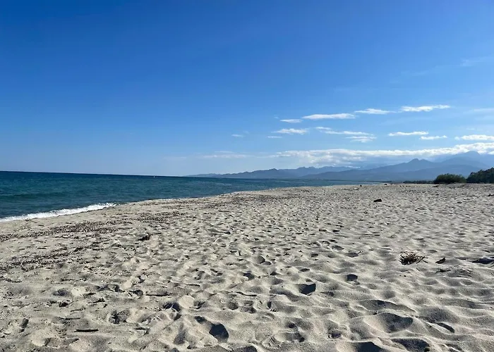 Les Bulles De Mona - Marina Corse - 2 Ch - Clim - Terrasse-pieds Dans Leau-plage