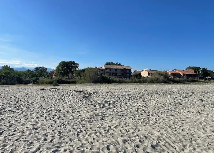 Les Bulles De Mona - Marina Corse - 2 Ch - Clim - Terrasse-pieds Dans Leau-plage * 기소나키아